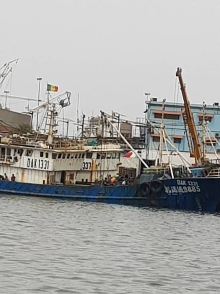 Fausse "sénégalisation" des navires chinois : après l'arachide, les chinois piratent le poisson local